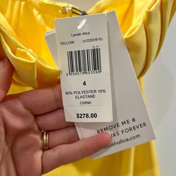 NWT Lavish Alice Pleated Bust Dress - Picture 3 of 5